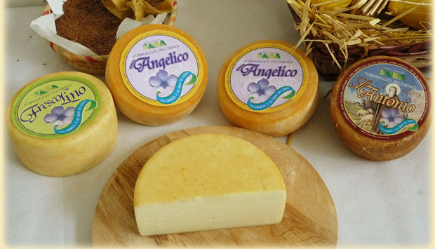 Il Pecorino a Latte Crudo della Maremma, presidio della Toscana