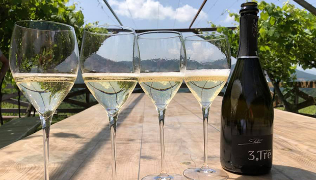 Dalla cantina dei fratelli Pelz in Trentino, i vini della Val di Cembra
