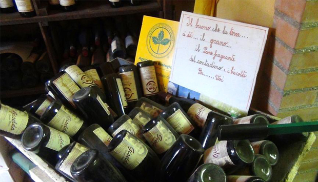 I vini dell’agriturismo L’Azdora di Ravenna, nettari di famiglia
