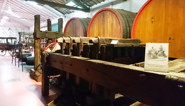 Gavioli Antica Cantina a Nonantola (MO), un museo e tante bollicine