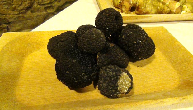 Il Tartufo bianco o nero, eccellenza anche (e soprattutto) del Molise