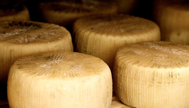 Carmasciando, filiera completa di formaggi irpini d’altri tempi