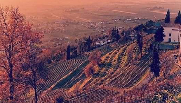 Da Bolzicco, oltre cinquant’anni di vini tradizionali friulani