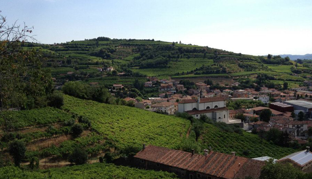 Menti, la grande classe del vino spontaneo volutamente declassato