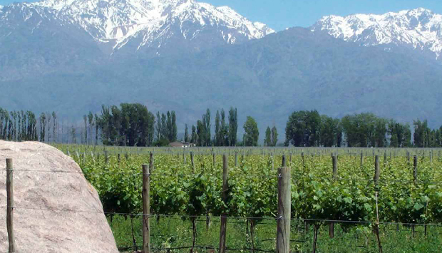 El Hijo Prodigo, i vini argentini di Alessandro Speri