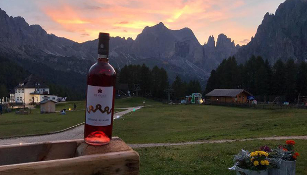 Teroldego Rotaliano di De Vigili, quando il vino si specchia nel terroir