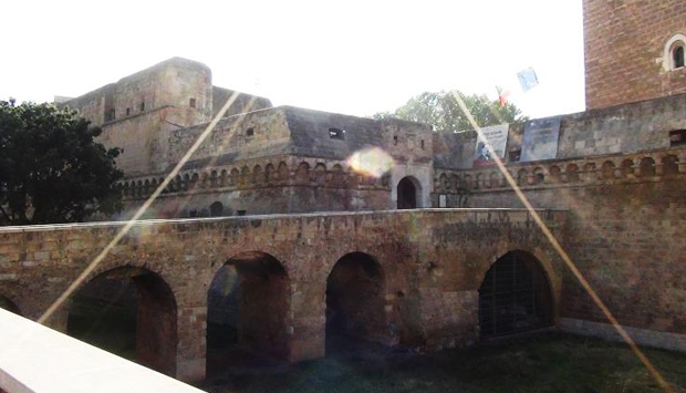 I gatti del castello Svevo di Bari, felini in libertà della città vecchia