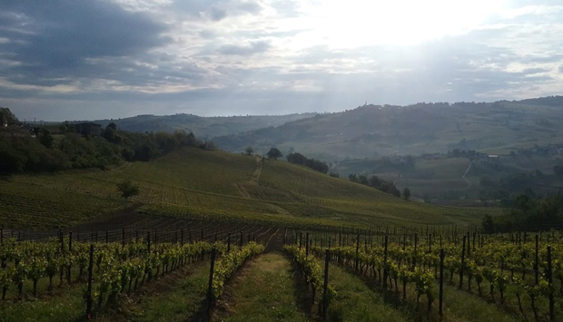 Calatroni e Mon Carul, storie e leggende da bere dall’Oltrepò Pavese