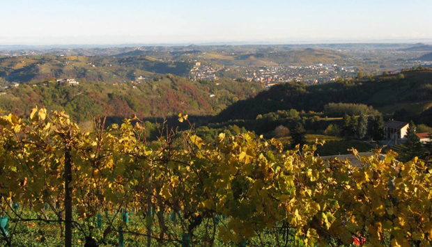 Cantina Pianbello, dalla provincia di Asti le bollicine dell’Alta Langa