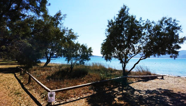 Le aiuole di Narciso Marino a Milos, verde pubblico come bene culturale