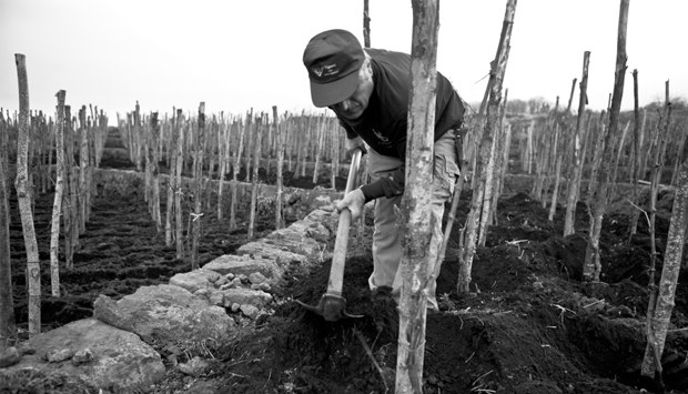 3a edizione arricchita del libro “Etna. I vini del vulcano” di Salvo Foti
