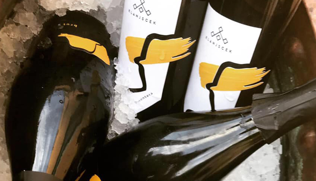 Klanjscek, vini come eredità familiare nel cuore del Collio di Gorizia