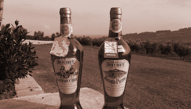 Casalis Douhet, vini marchigiani in Montecoriolano (MC) dal 1899