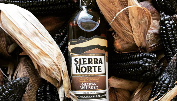 Whiskey culturali messicani da mais autoctoni ancestrali di Sierra Norte