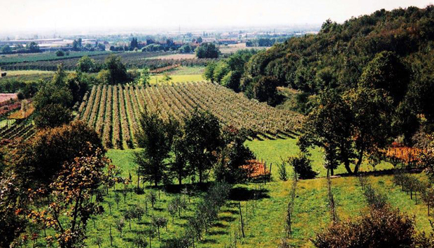 La Valle, bollicine agresti da cantina ecosostenibile in Franciacorta