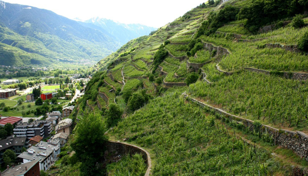 Balgera, lo Sforzato e i vini tipici della Valtellina