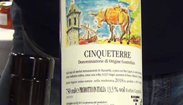 Il Cinqueterre di Forlini Cappellini, perla dei Vini Estremi di Liguria
