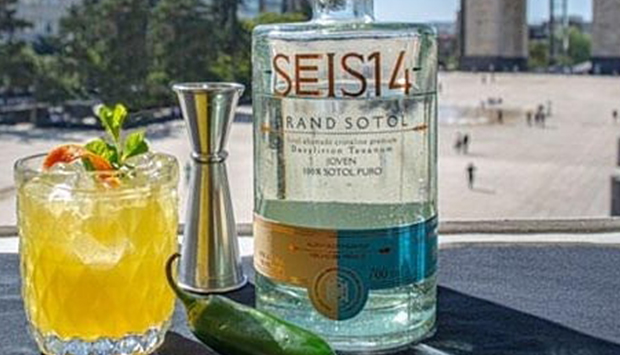 Sotol Seis14, distillato ancestrale messicano da pianta selvatica locale