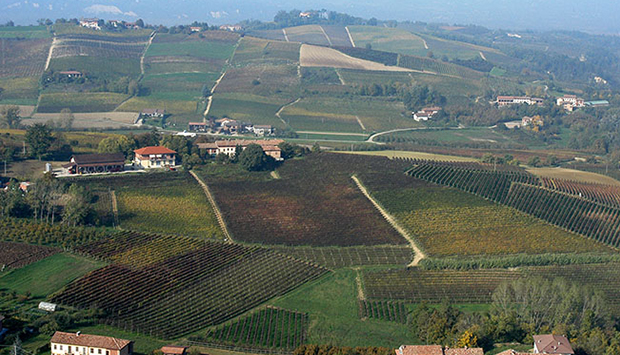 Stella, un secolo di vini del Monferrato da uve autoctone del Piemonte