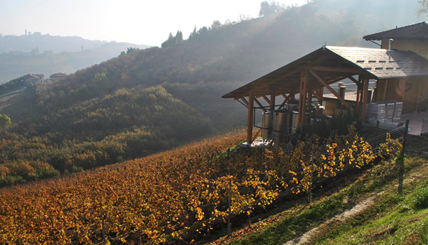 I vini cuneesi di Roberto Garbarino, filo diretto con la terra