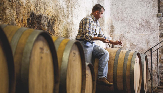 I vini sloveni sostenibili di Tomaz Prinčič, da tradizione secolare