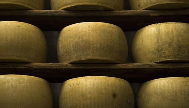 Dal caseificio Rosola di Zocca (MO) il Parmigiano di sola Vacca bianca