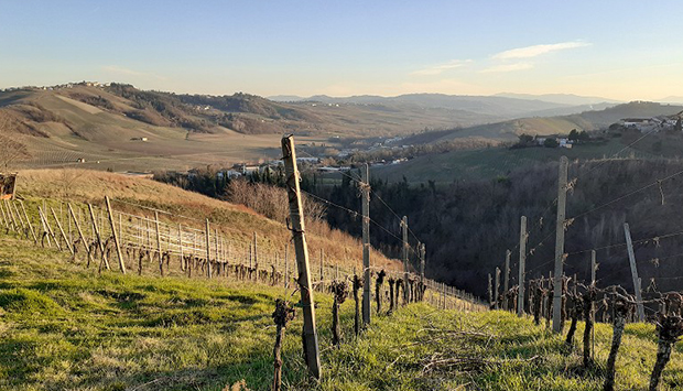 Andrea Picchioni, vini che seguono la vera natura dell’Oltrepò Pavese