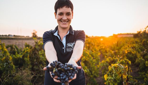 I vini siciliani diversi della Cantina Marilina che fanno la differenza