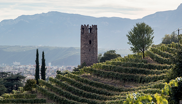 Tenuta Rottensteiner a Bolzano, vini altoatesini scolpiti nella roccia
