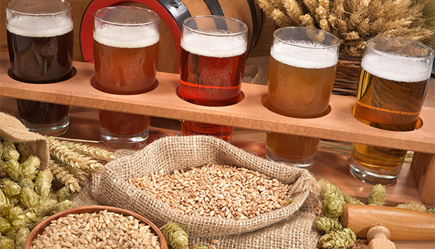 La Stecciaia, birra artigianale biologica di filiera delle Crete senesi