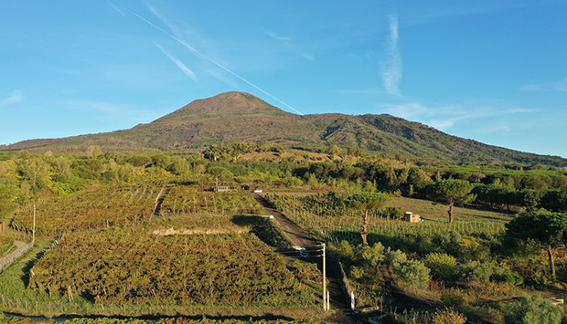 Bosco de’ Medici, vini pompeiani temprati dal fuoco del Vesuvio