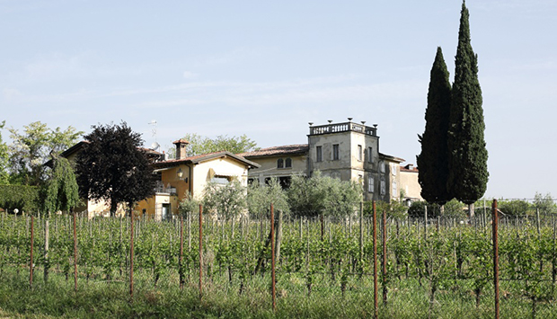 Cantrina, vini artigianali bio del Garda come libero esercizio di stile
