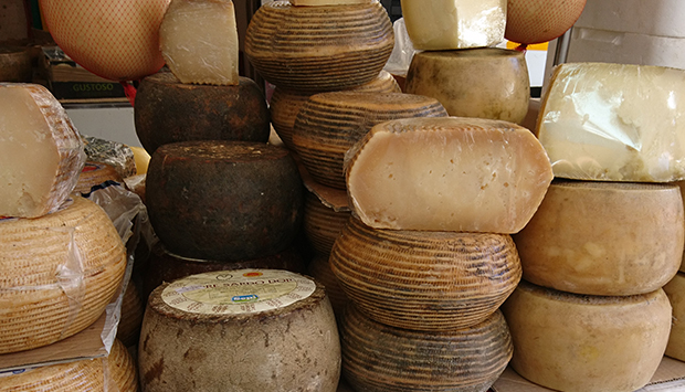 La Casa del Formaggio nel sassarese, l’arte casearia della Sardegna