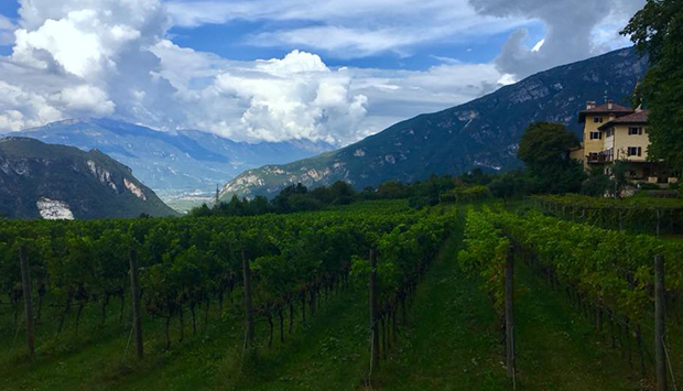 Borgo dei Possèri, il richiamo della natura in vini trentini di montagna