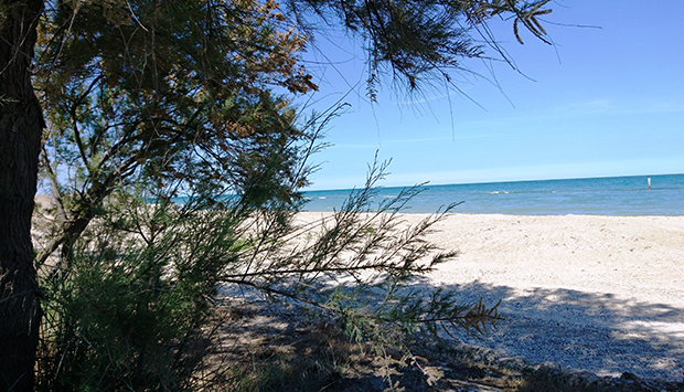 La spiaggia di Grottammare nelle Marche, tra incanto e natura
