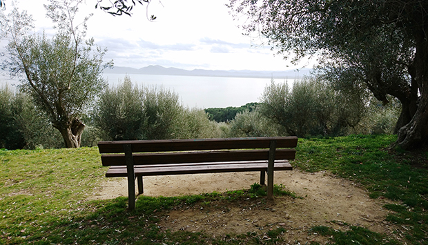 Quel punto panoramico di Castiglione del Lago sul Trasimeno che…
