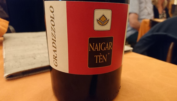 Il Negretto, sconosciuto vino autoctono dei colli bolognesi