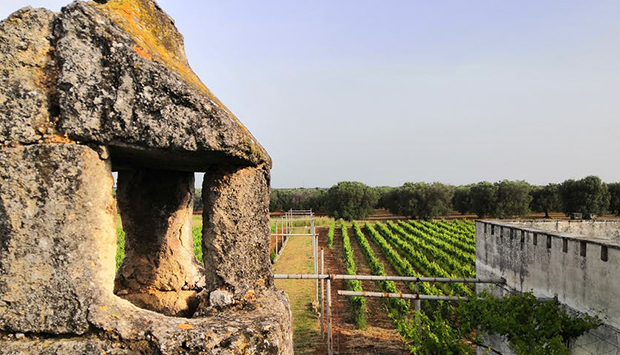 Domiziano, il cuore Rosso dei vini del brindisino