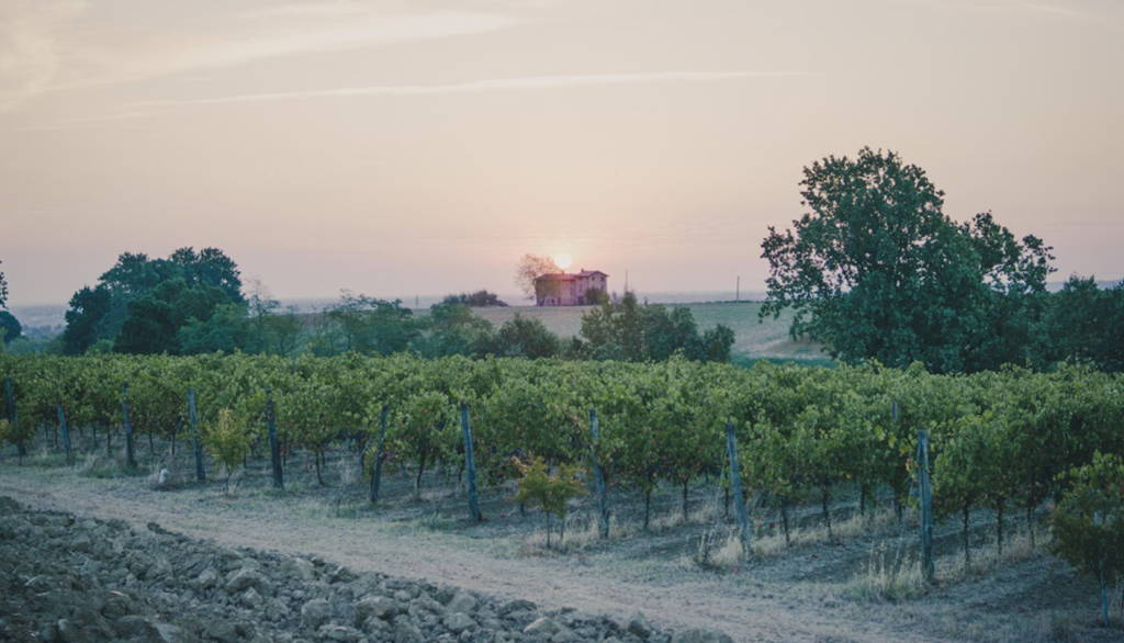 La Piana, Lambrusco e vini autoctoni delle colline modenesi da cultura contadina famigliare