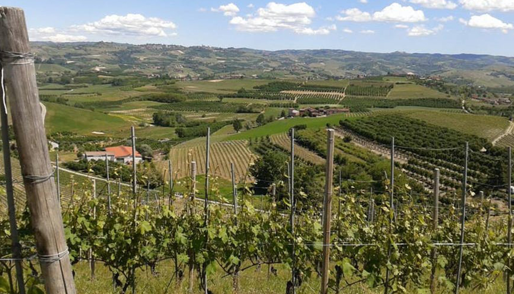 I vini della cantina del Castello di Verduno, passione per il Nebbiolo tra passato e presente