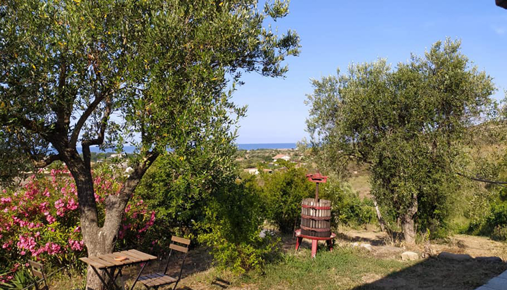 B&B La Terra di Parmenide ad Ascea (SA) nel Cilento