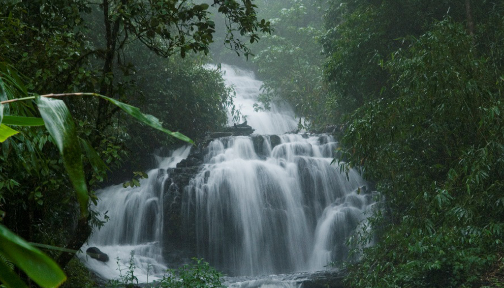 Alla scoperta del Kerala, meta turistica emergente dell’India meridionale