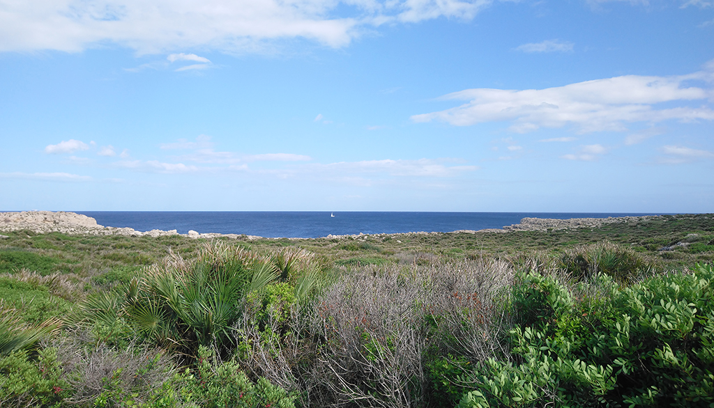 Riserva Naturale del Plemmirio a Siracusa, la bellezza selvaggia della natura tra scorci mozzafiato