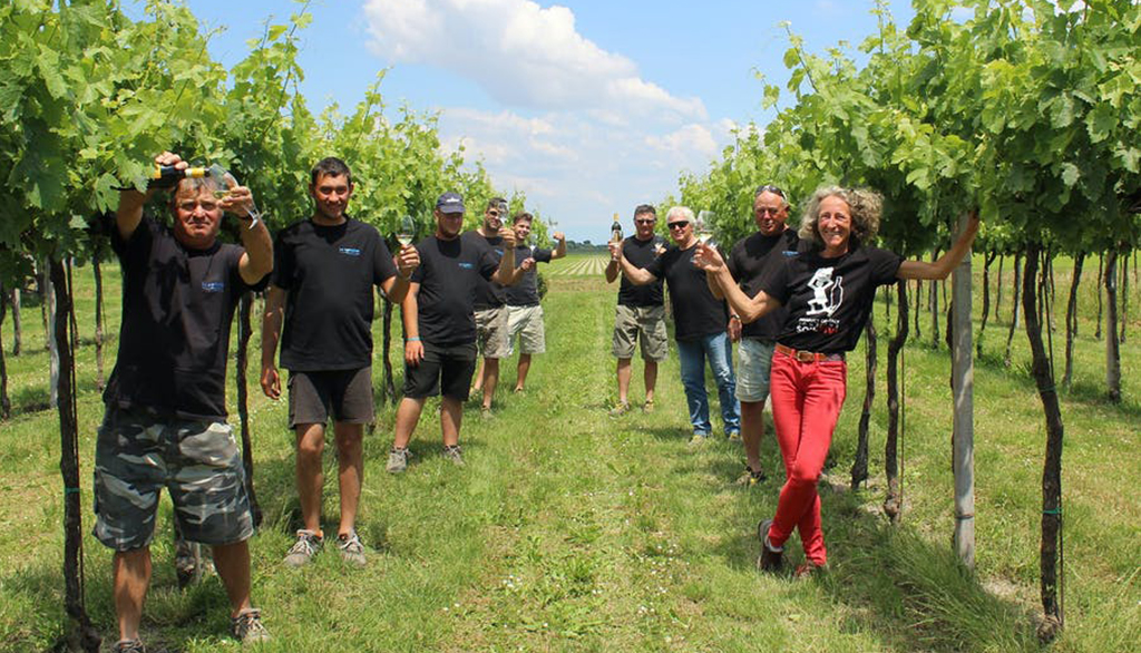 Dall’esperienza della cantina veneta La Frassina, i vini tipici della zona DOC Lison Pramaggiore
