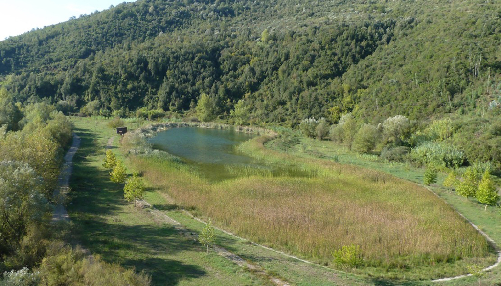 Oasi Fiume Alento, la magnifica natura del Cilento da vivere come bene culturale