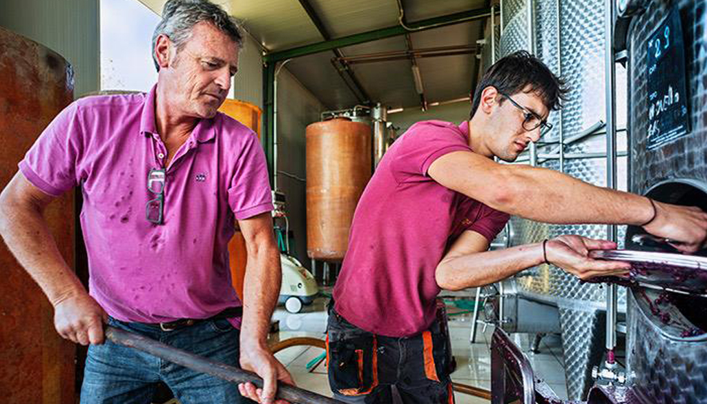 Cantina Stefanoni nel viterbese, vini familiari di Montefiascone nel regno del Roscetto
