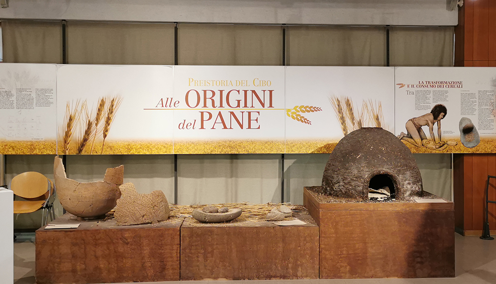 Museo Archeologico di Altamura, l’appassionante parallelo tra storia dell’Uomo e del territorio