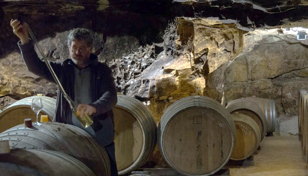 Domaine Béatrice et Pascal Lambert, tutte le sfumature di Cabernet Franc e Chenin in biodinamico