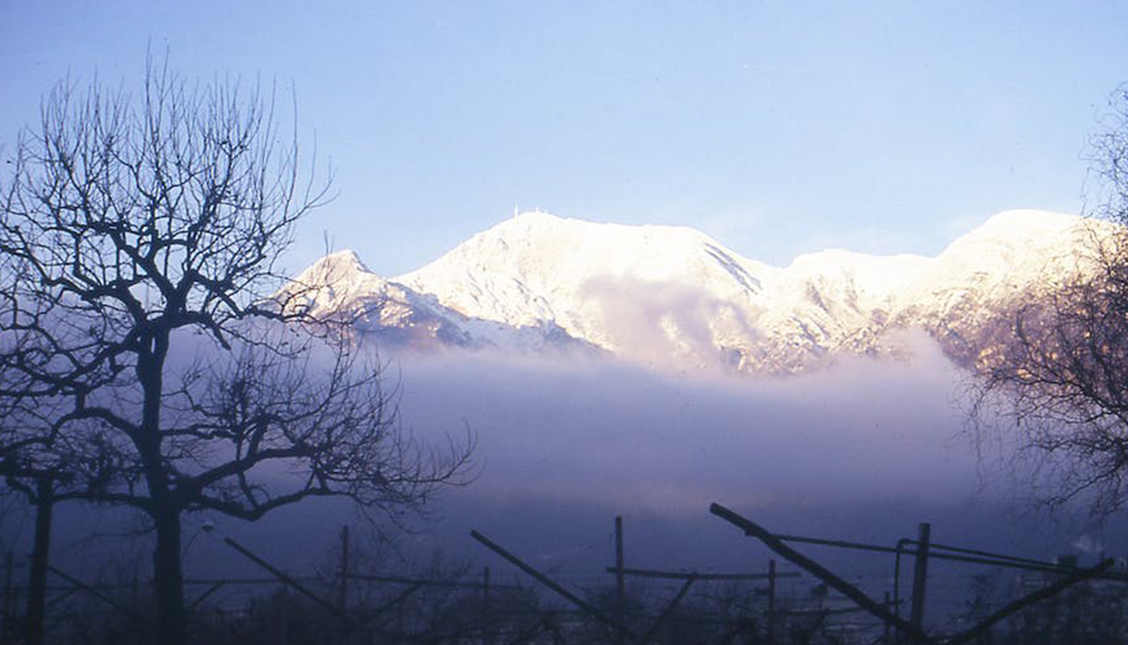 Dalla cantina Limina, i vini biodinamici trentini di Giuliano Micheletti