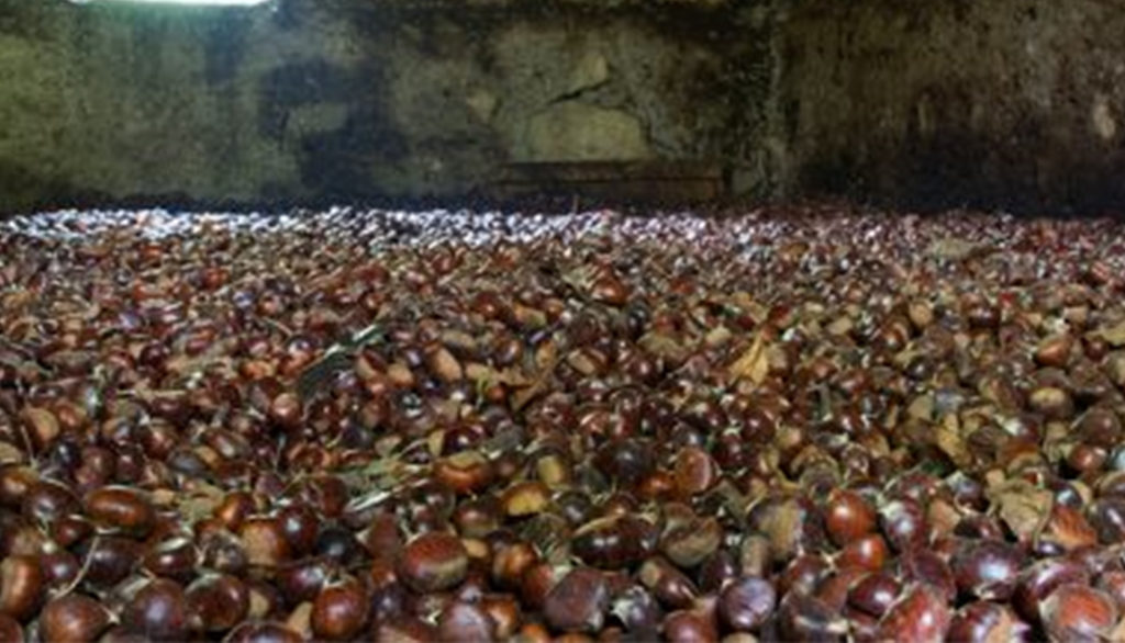 Mosciarella delle casette di Capranica Prenestina, Presidio Slow Food del Lazio